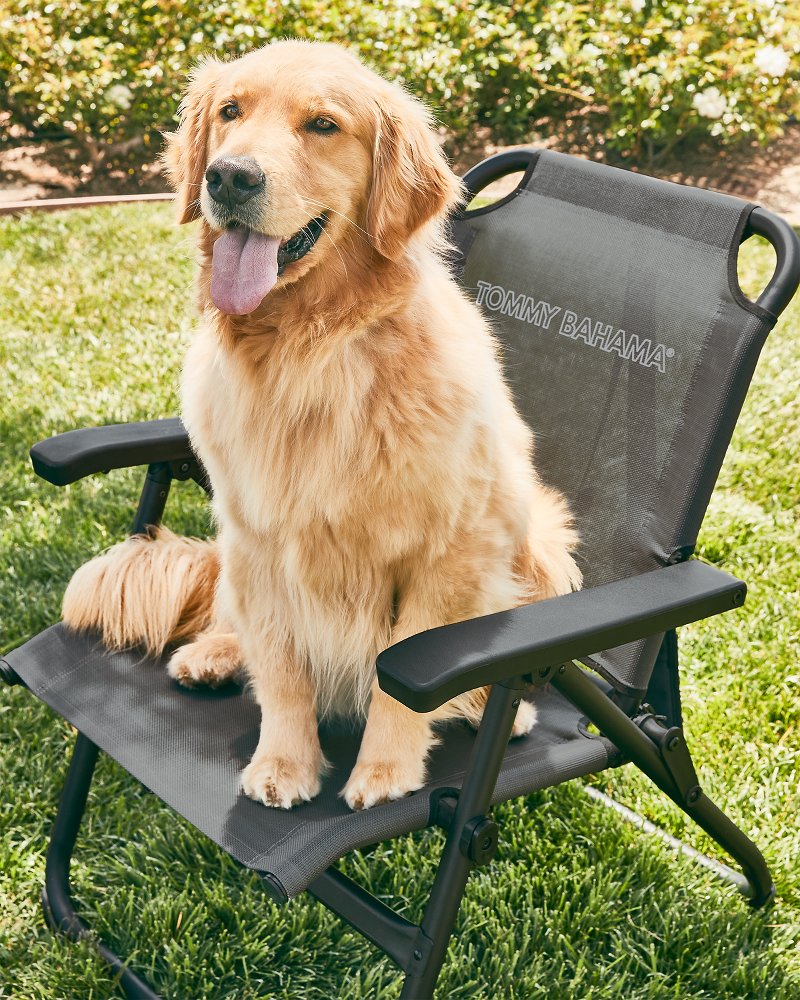 Tommy Bahama Excursion Chair - Tommy Bahama Beach & Home