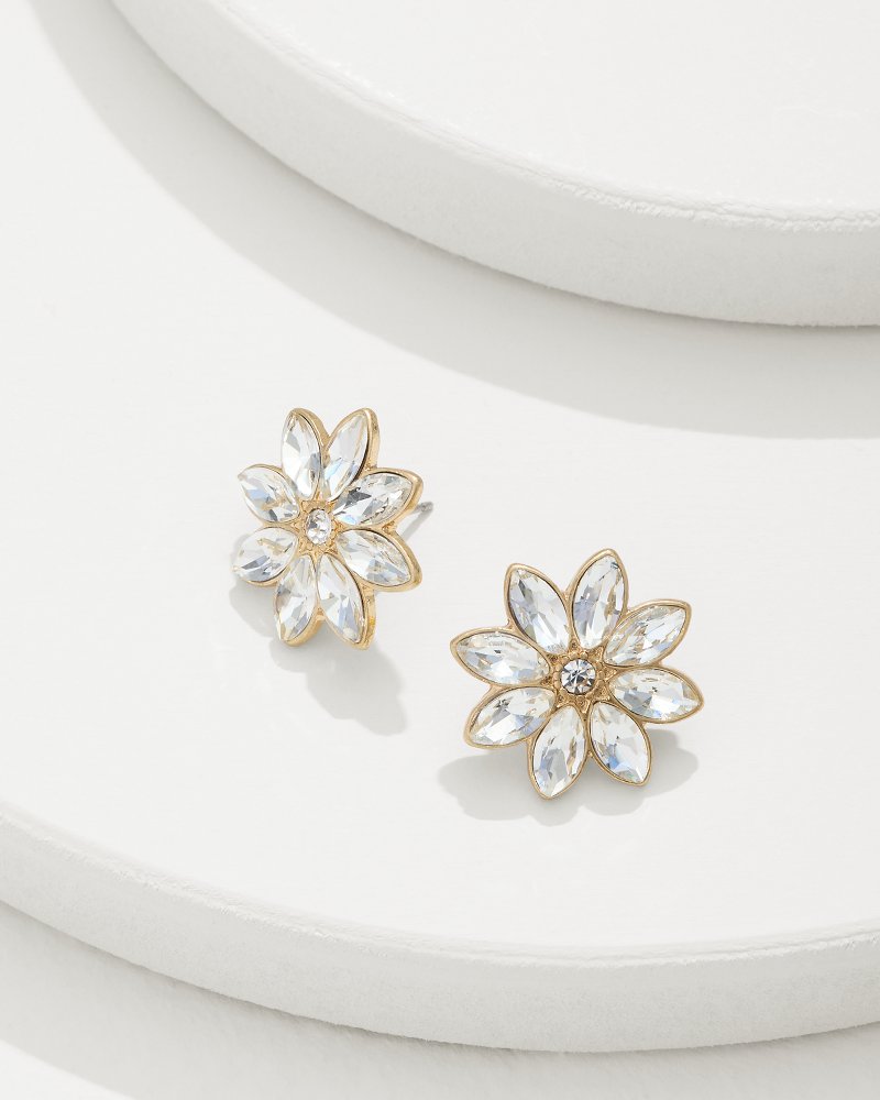 Tidal Treasure Floral Stud Earrings - Tommy Bahama Women