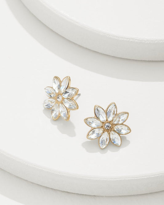 Tidal Treasure Floral Stud Earrings - Tommy Bahama Women