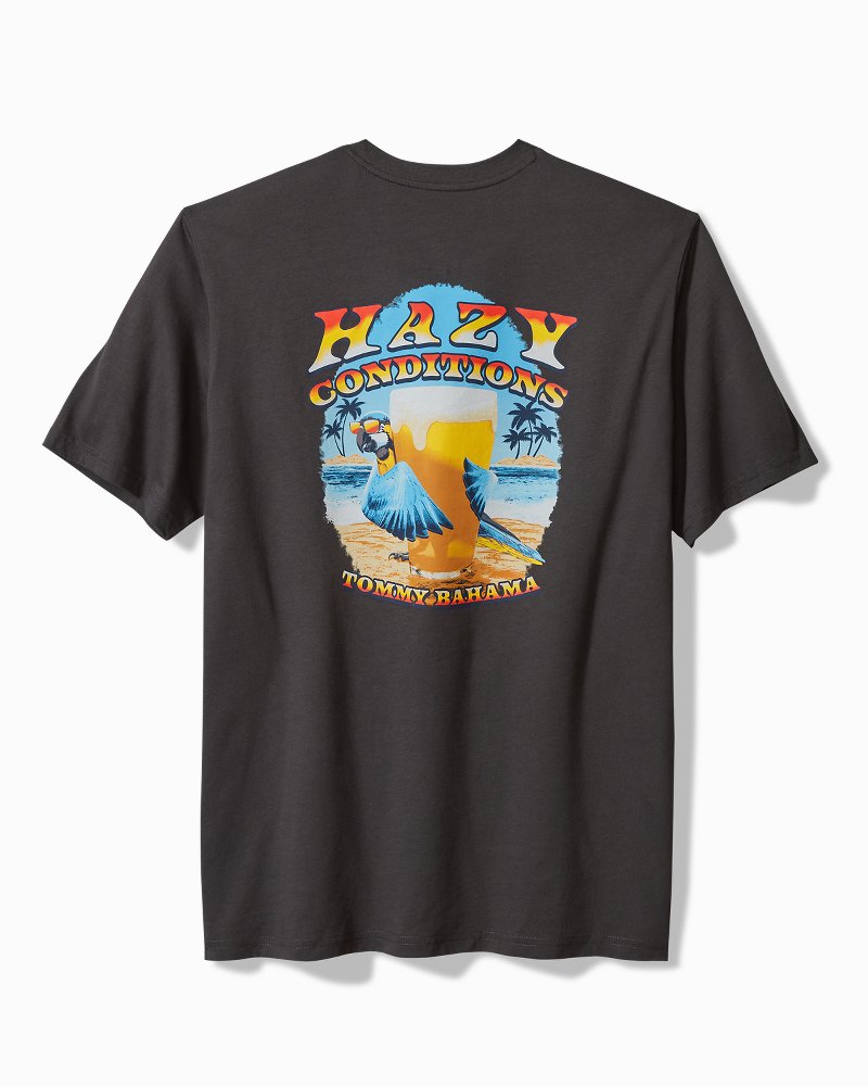 Hazy Conditions Graphic T-Shirt - Tommy Bahama Men