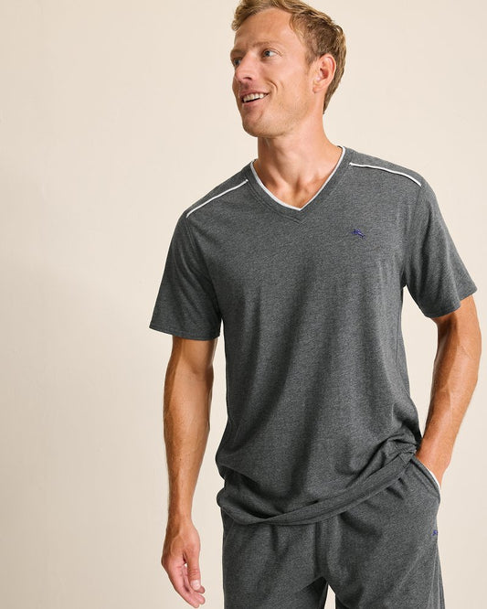 Big & Tall Jersey Short-Sleeve V-Neck T-Shirt - Tommy Bahama Men