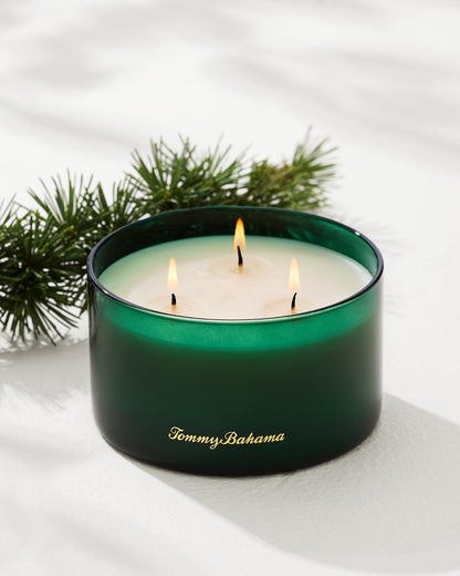 Evergreen 14.5-oz. Boxed 3-Wick Candle - Tommy Bahama Beach & Home