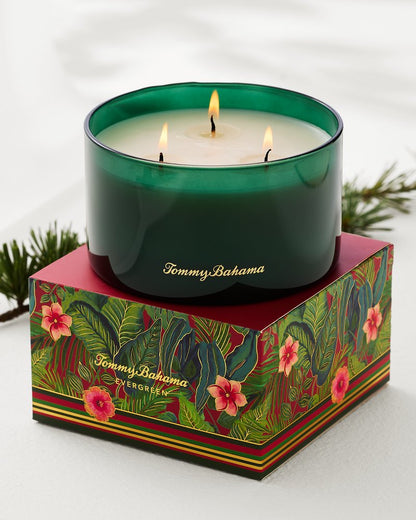 Evergreen 14.5-oz. Boxed 3-Wick Candle - Tommy Bahama Beach & Home