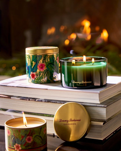 Evergreen 14.5-oz. Boxed 3-Wick Candle - Tommy Bahama Beach & Home